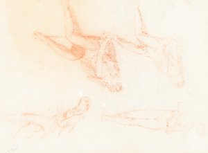 Studies for 