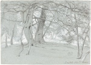 Trees at Box Hill