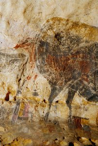 Detail of Engraved Painting of Horse Heads, Lascaux