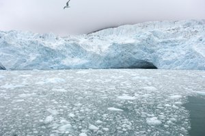 Ice chunks from nearby glaciers float in the Arctic sea, Svalbard Islands, Norway
