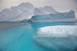 Icebergs floating on Antarctic Peninsula, 2022