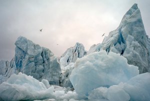 Icebergs in the Arctic sea around Spitsbergen Island, Norway