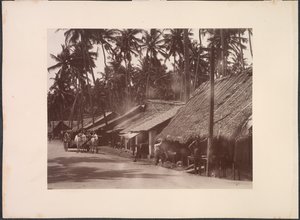 Untitled (verso) by Skeen and Co.