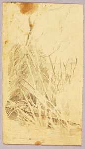 Foliage by Solon H. Borglum