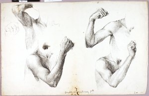 Four Arm Studies, #1 by Solon H. Borglum