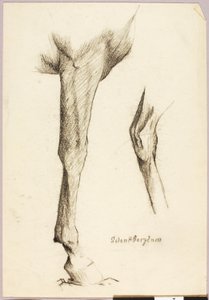 Horse Study by Solon H. Borglum