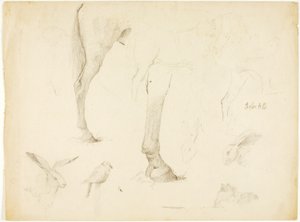 Horse Study and Rabbits by Solon H. Borglum