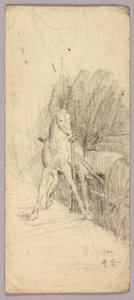 Horse and Wagon