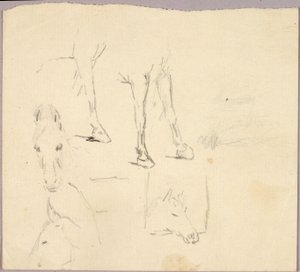 Horses by Solon H. Borglum