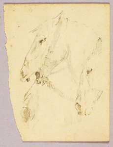 Horses