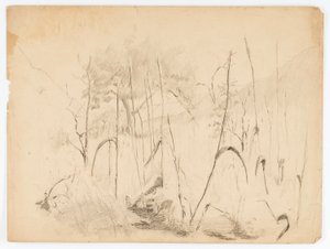 Landscape by Solon H. Borglum