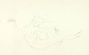 Swimming Nude