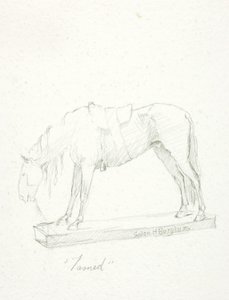 Tamed by Solon H. Borglum