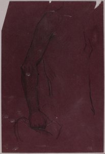 Torso, study for Equestrian Monument by Solon H. Borglum