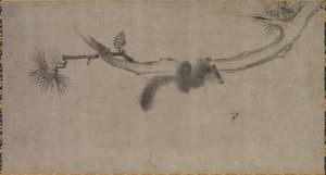 Squirrel on a Pine Branch by Song Tian