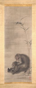 Monkey Grooming Offspring Near Bamboo by Sosen Mori