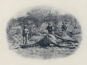 Big Game Hunting in the Transvaal (black and white photo) by South African Photographer
