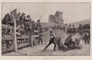 A Bull-Fight in a Country Village in Spain (engraving) by Spanish School
