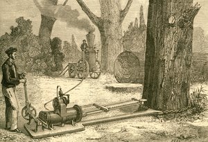 Cutting Trees Using Vapour Machines in the Late 19th Century by Spanish School