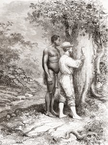 Jules Crevaux Carving His Initials on a Tree on the Banks of the Oyapock River by Spanish School