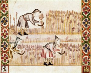 The peasant harvests mowing wheat (detail)