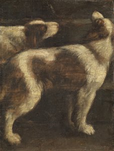Two Dogs