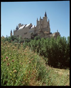 View of the Alcazar
