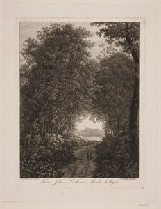 Forest Road