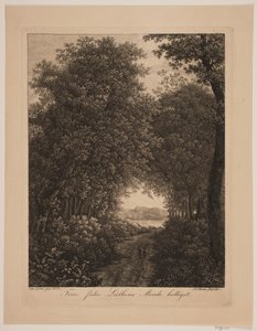Forest Road