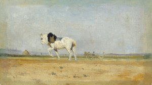 A Plow Horse in a Field