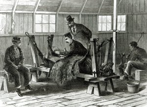 Taking Virus from the Calf, Illustration from 