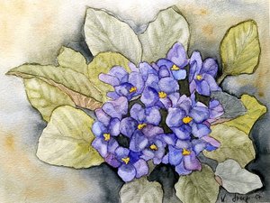 Usambara Violet by Steegs Art Karin
