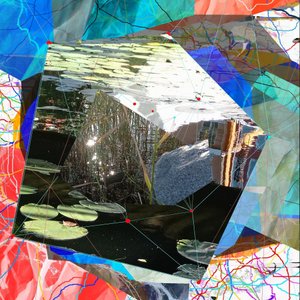 Fractured Pond Reflections