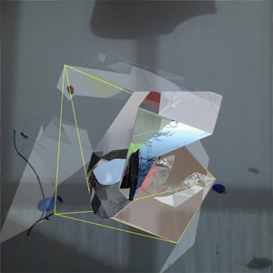 Fragmented Nature Reflection