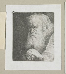 Half-Length of an Old Man with a White Beard