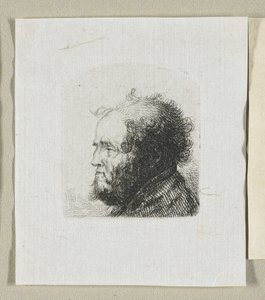 Head of a Bearded Man in Profile Facing Left