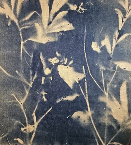 Blue Botanical Shadows