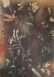 Dark Botanical Forms