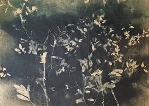 Dark Botanical Silhouettes