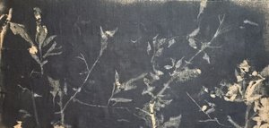 Dark Botanical Study