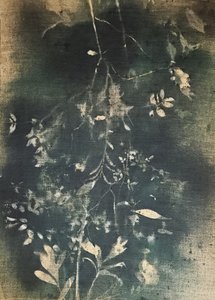 Dark Botanical Study