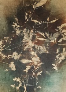 Dark Ethereal Botanicals