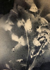Ethereal Botanical Forms