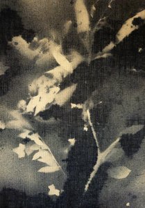 Ethereal Botanical Silhouettes