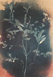 Faded Blue Botanical