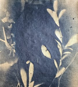 Indigo Leaf Impressions