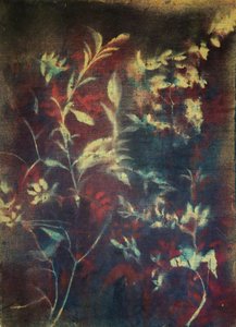 Moody Botanical Foliage