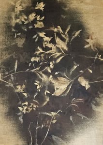 Moody Floral Shadows