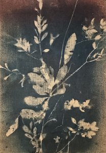 Vintage Blue Botanicals
