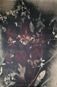 Vintage Botanical Fade